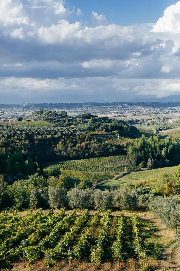 Agriturismo Bellavista ซานมีเนียโต ภายนอก รูปภาพ